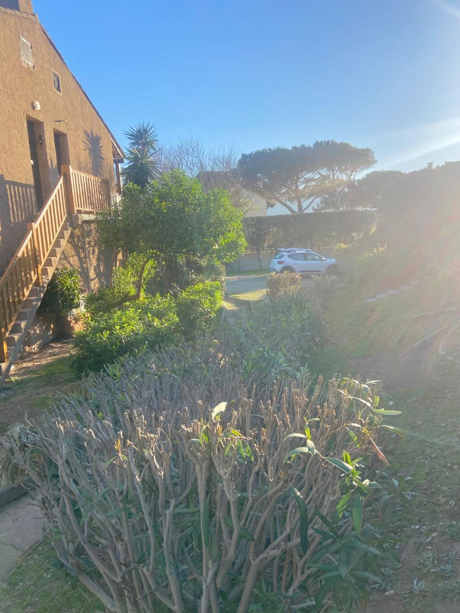 Tres Bel Appartement Les Pieds Dans L'Eau Appietto Exteriör bild